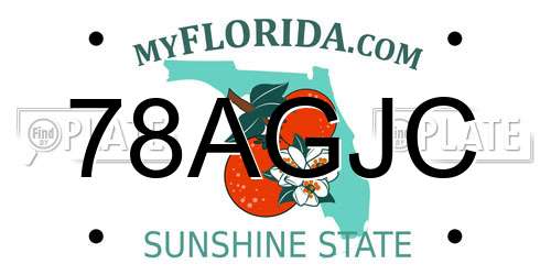 78AGJC Florida License Plate