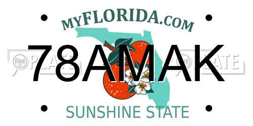 78AMAK Florida License Plate