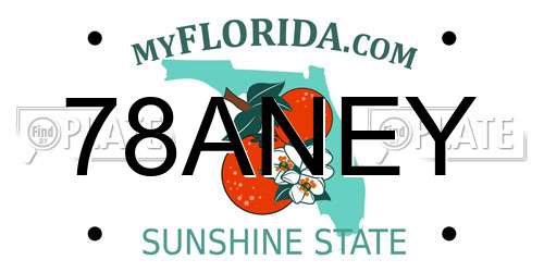 78ANEY Florida License Plate