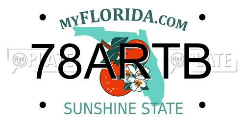 78ARTB Florida License Plate
