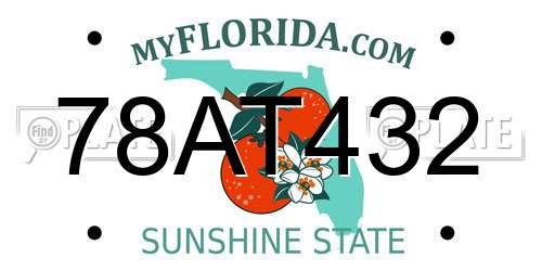 78AT432 Florida License Plate