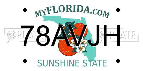 78AVJH Florida License Plate