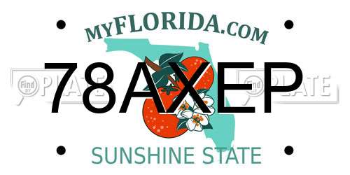 78AXEP Florida License Plate