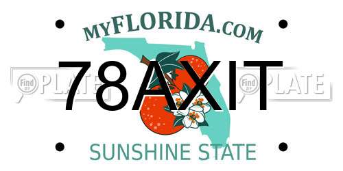 78AXIT Florida License Plate