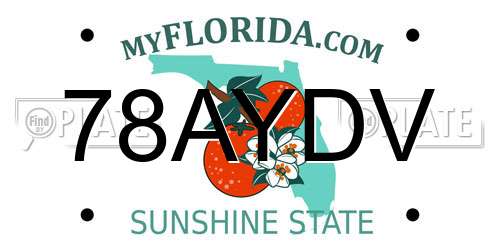 78AYDV Florida License Plate