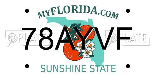 78AYVF Florida License Plate