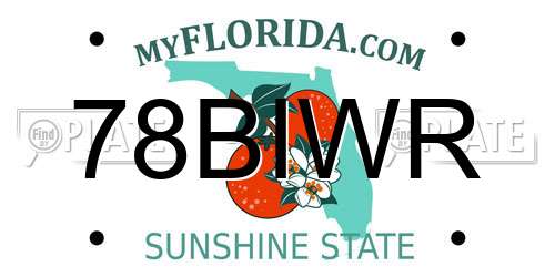 78BIWR Florida License Plate