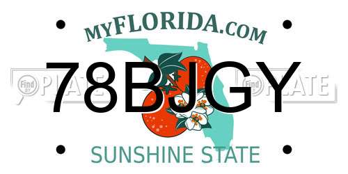 78BJGY Florida License Plate