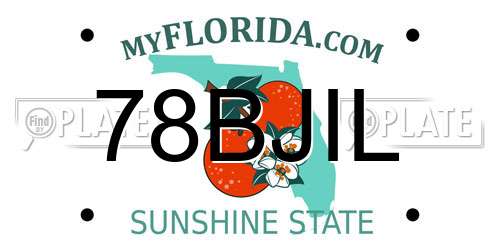 78BJIL Florida License Plate