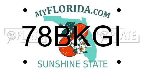78BKGI Florida License Plate