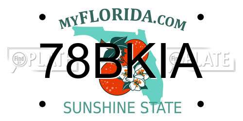 78BKIA Florida License Plate