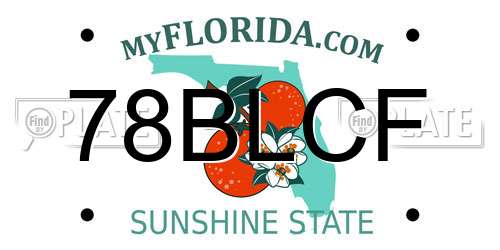 78BLCF Florida License Plate