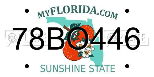 78BO446 Florida License Plate