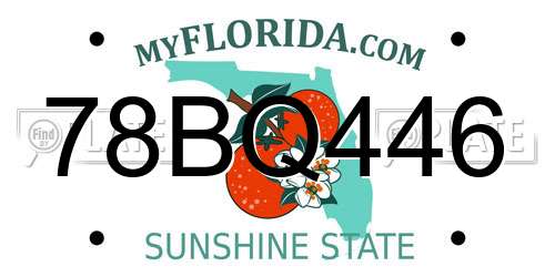 78BQ446 Florida License Plate