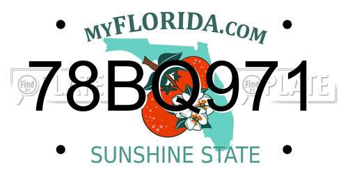78BQ971 Florida License Plate