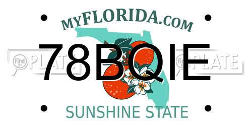 78BQIE Florida License Plate