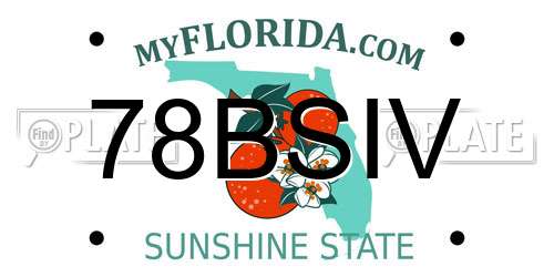 78BSIV Florida License Plate