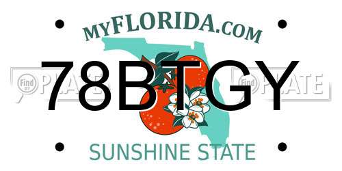 78BTGY Florida License Plate