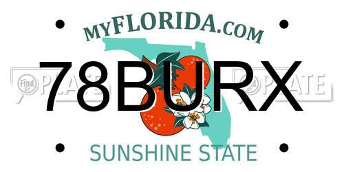78BURX Florida License Plate