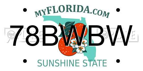 78BWBW Florida License Plate