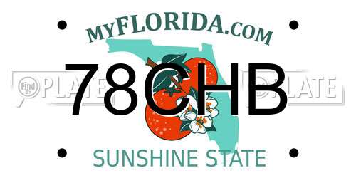 78CHB Florida License Plate