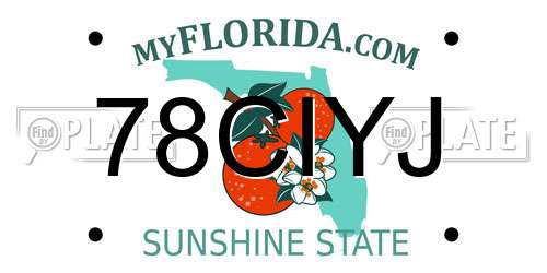 78CIYJ Florida License Plate