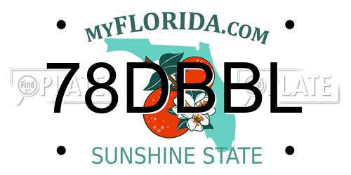 78DBBL Florida License Plate