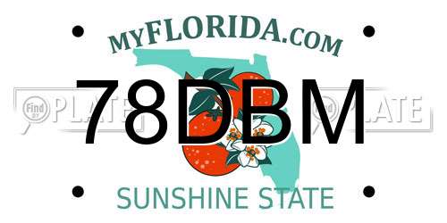 78DBM Florida License Plate