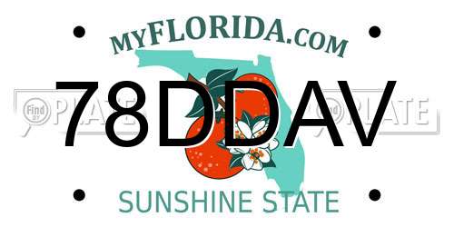 78DDAV Florida License Plate
