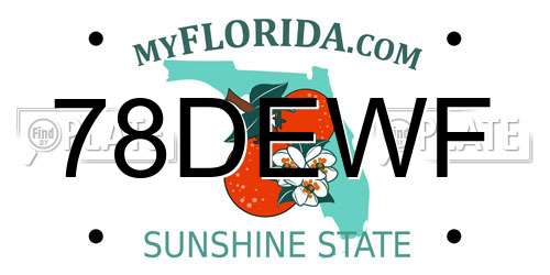 78DEWF Florida License Plate