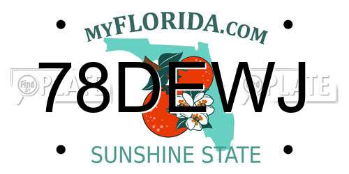 78DEWJ Florida License Plate
