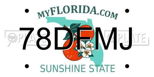 78DFMJ Florida License Plate