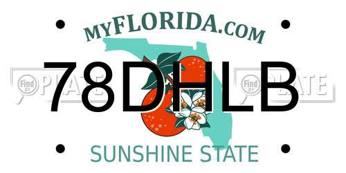 78DHLB Florida License Plate