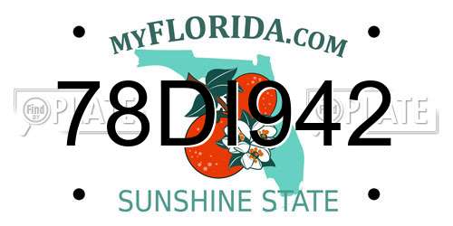 78DI942 Florida License Plate