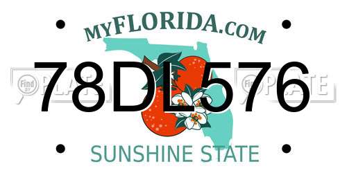 78DL576 Florida License Plate