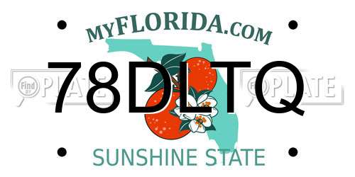 78DLTQ Florida License Plate