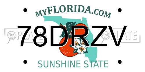 78DRZV Florida License Plate