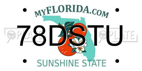 78DSTU Florida License Plate