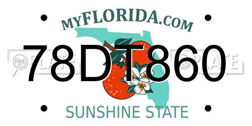 78DT860 Florida License Plate