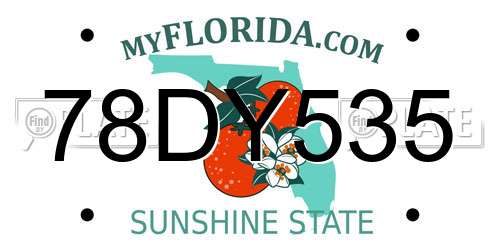 78DY535 Florida License Plate