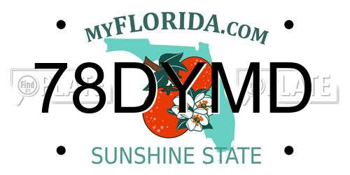 78DYMD Florida License Plate