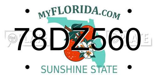 78DZ560 Florida License Plate