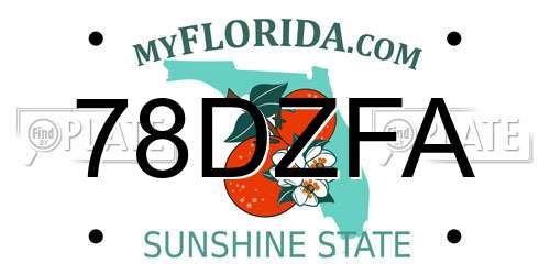 78DZFA Florida License Plate