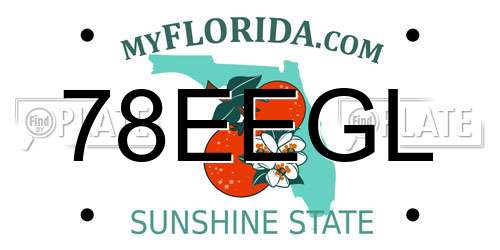 78EEGL Florida License Plate