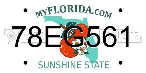 78EG561 Florida License Plate