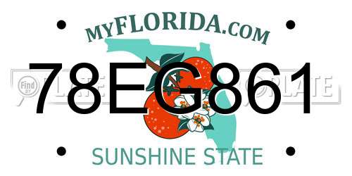 78EG861 Florida License Plate
