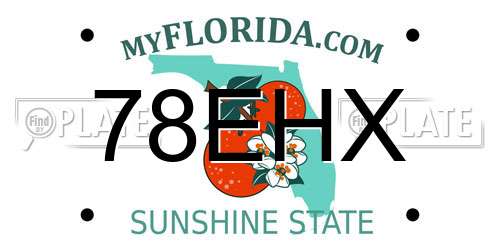 78EHX Florida License Plate