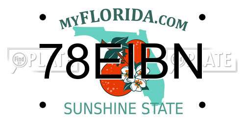 78EIBN Florida License Plate