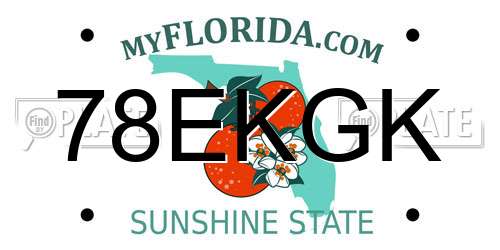 78EKGK Florida License Plate