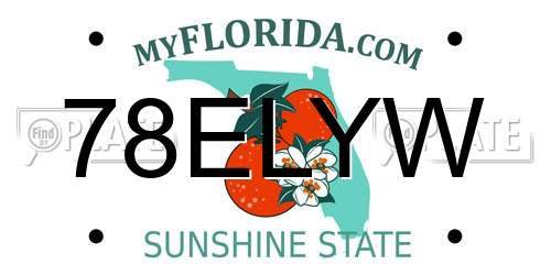 78ELYW Florida License Plate